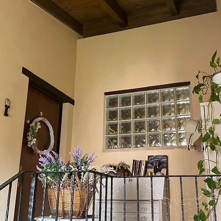 Apartamento Alex's